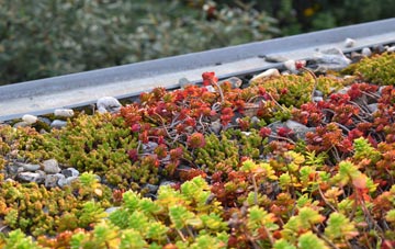 the cost of Coulags green roof installation