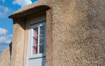 Coulags thatch roof disadvantages