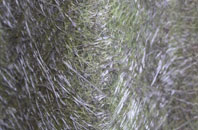 Coulags fibreglass roof work